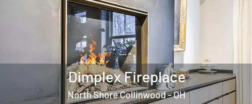 Dimplex Fireplace North Shore Collinwood - OH