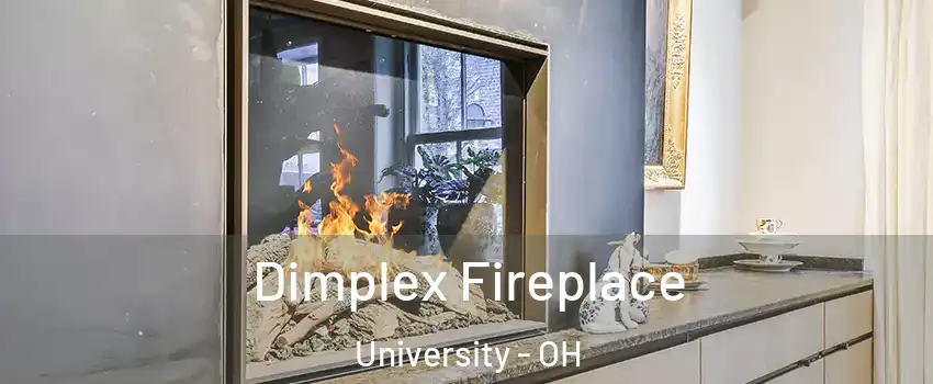 Dimplex Fireplace University - OH