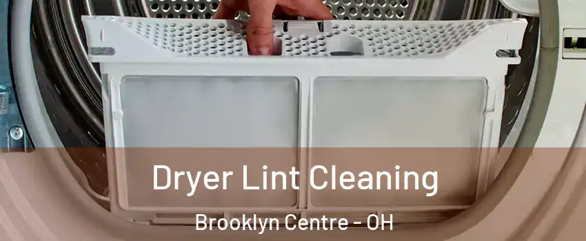 Dryer Lint Cleaning Brooklyn Centre - OH