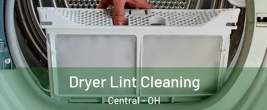 Dryer Lint Cleaning Central - OH