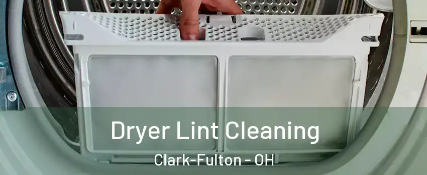 Dryer Lint Cleaning Clark-Fulton - OH