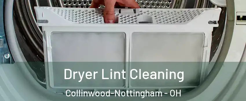 Dryer Lint Cleaning Collinwood-Nottingham - OH