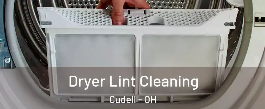 Dryer Lint Cleaning Cudell - OH