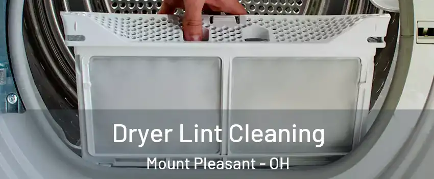 Dryer Lint Cleaning Mount Pleasant - OH