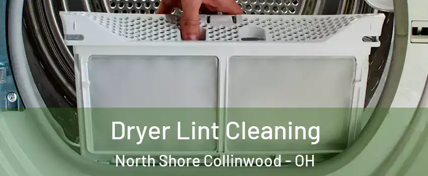 Dryer Lint Cleaning North Shore Collinwood - OH