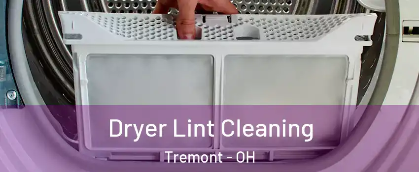 Dryer Lint Cleaning Tremont - OH