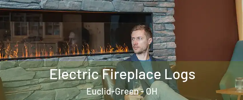 Electric Fireplace Logs Euclid-Green - OH