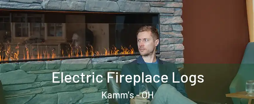 Electric Fireplace Logs Kamm's - OH