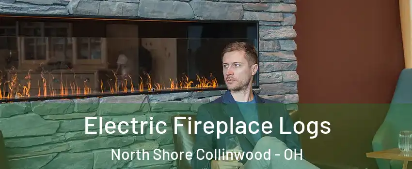 Electric Fireplace Logs North Shore Collinwood - OH