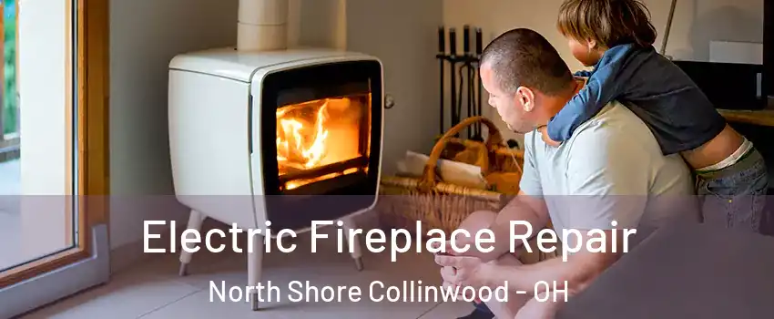 Electric Fireplace Repair North Shore Collinwood - OH