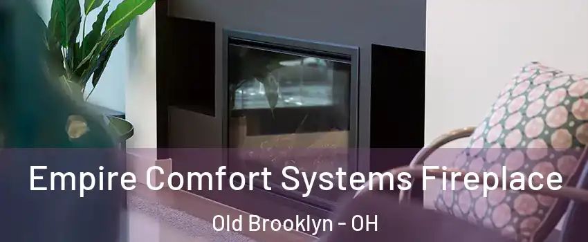 Empire Comfort Systems Fireplace Old Brooklyn - OH