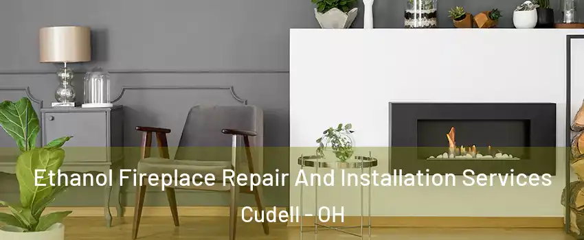 Ethanol Fireplace Repair And Installation Services Cudell - OH