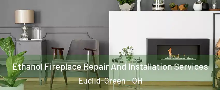 Ethanol Fireplace Repair And Installation Services Euclid-Green - OH