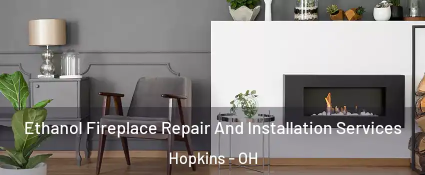 Ethanol Fireplace Repair And Installation Services Hopkins - OH