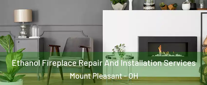 Ethanol Fireplace Repair And Installation Services Mount Pleasant - OH