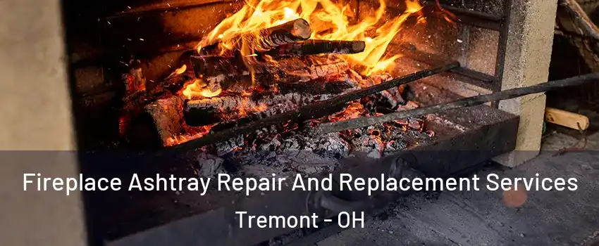 Fireplace Ashtray Repair And Replacement Services Tremont - OH