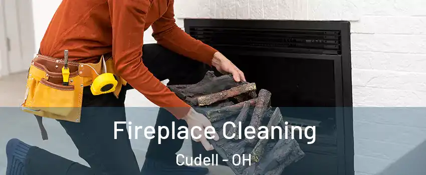 Fireplace Cleaning Cudell - OH