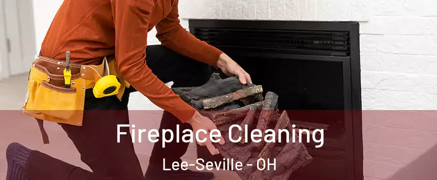 Fireplace Cleaning Lee-Seville - OH