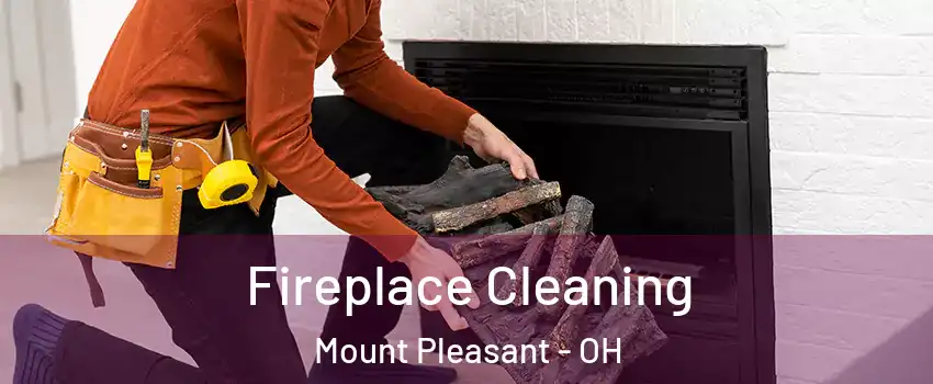 Fireplace Cleaning Mount Pleasant - OH