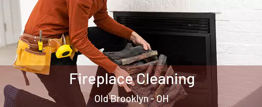 Fireplace Cleaning Old Brooklyn - OH