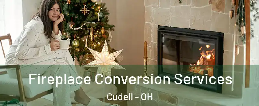 Fireplace Conversion Services Cudell - OH