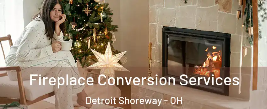 Fireplace Conversion Services Detroit Shoreway - OH