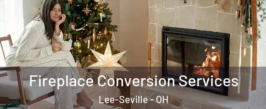 Fireplace Conversion Services Lee-Seville - OH