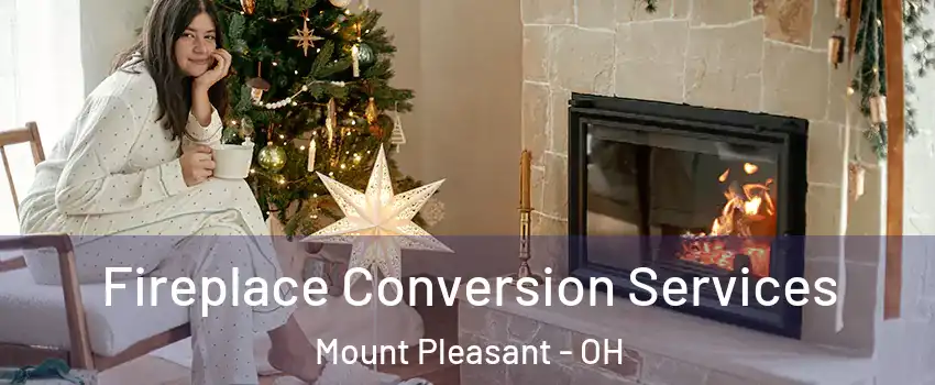 Fireplace Conversion Services Mount Pleasant - OH
