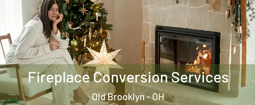 Fireplace Conversion Services Old Brooklyn - OH