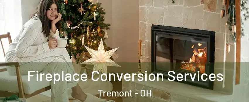 Fireplace Conversion Services Tremont - OH