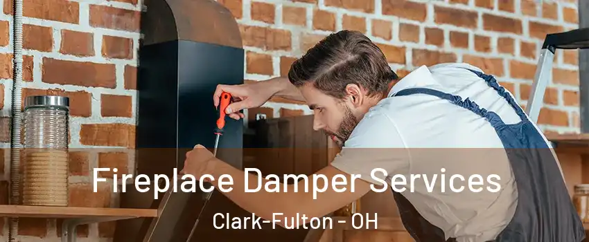 Fireplace Damper Services Clark-Fulton - OH
