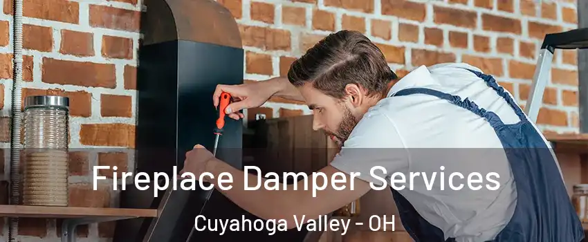 Fireplace Damper Services Cuyahoga Valley - OH