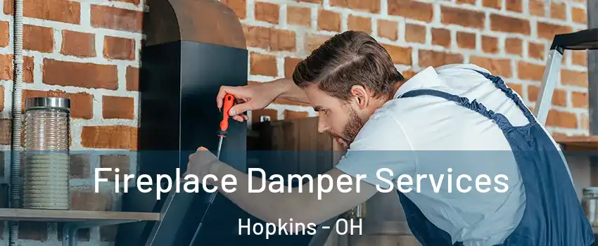 Fireplace Damper Services Hopkins - OH