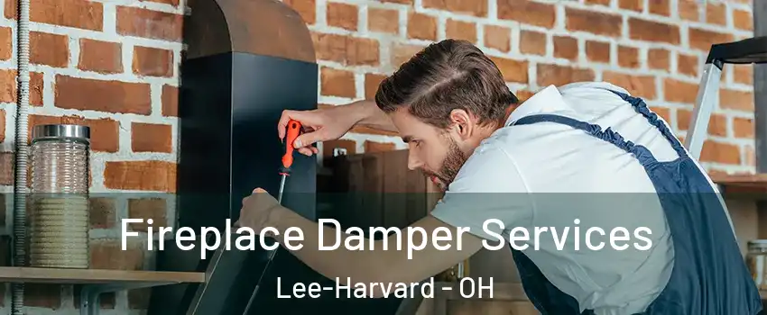 Fireplace Damper Services Lee-Harvard - OH