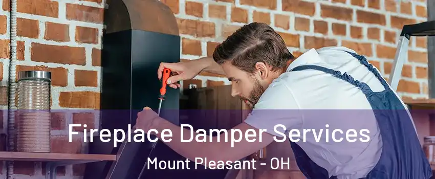Fireplace Damper Services Mount Pleasant - OH