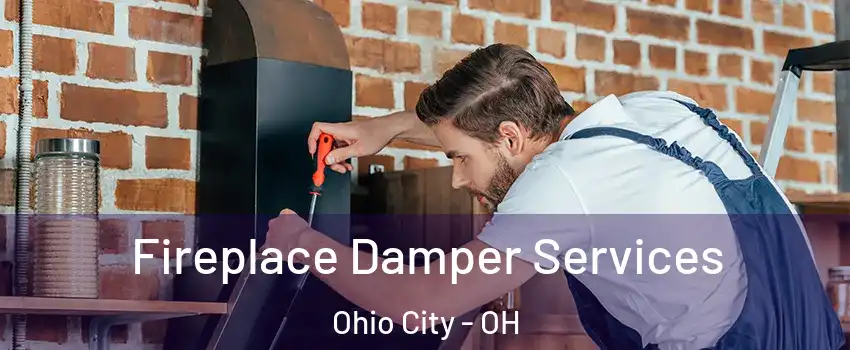 Fireplace Damper Services Ohio City - OH