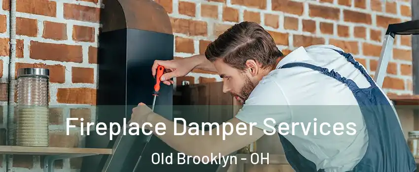 Fireplace Damper Services Old Brooklyn - OH