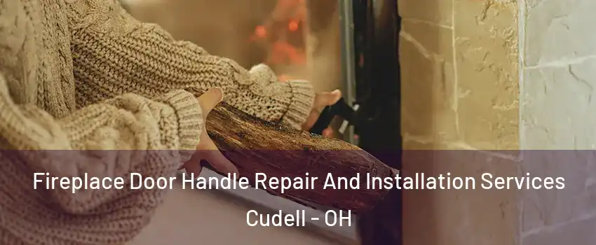Fireplace Door Handle Repair And Installation Services Cudell - OH