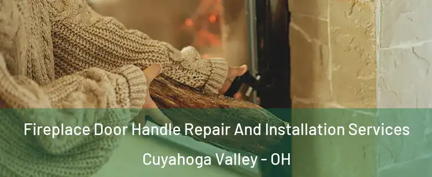 Fireplace Door Handle Repair And Installation Services Cuyahoga Valley - OH