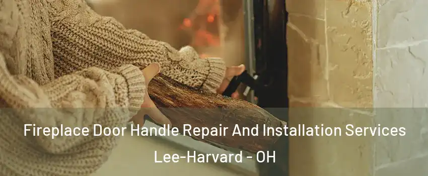Fireplace Door Handle Repair And Installation Services Lee-Harvard - OH