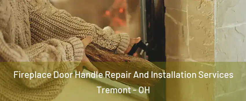 Fireplace Door Handle Repair And Installation Services Tremont - OH
