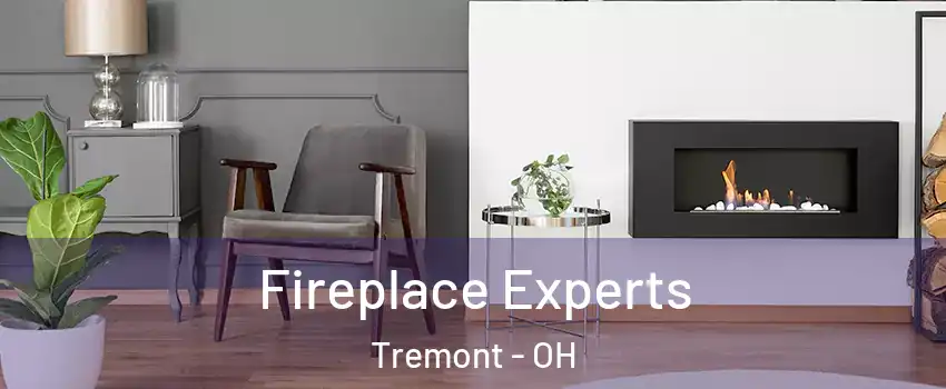 Fireplace Experts Tremont - OH