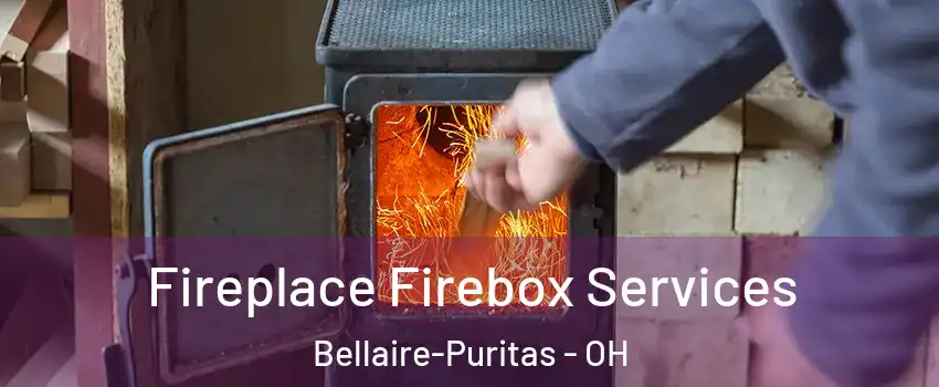 Fireplace Firebox Services Bellaire-Puritas - OH