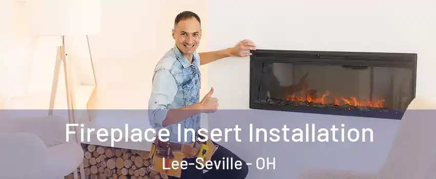 Fireplace Insert Installation Lee-Seville - OH