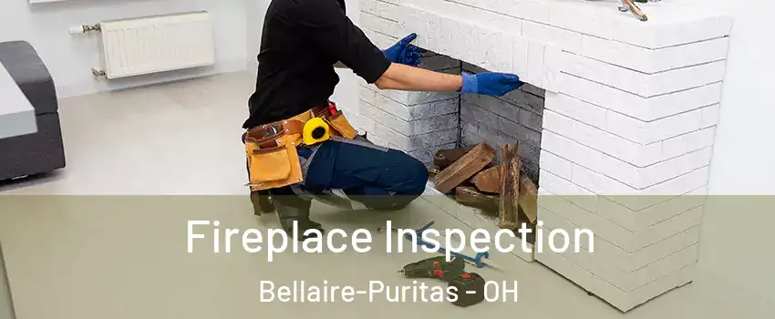 Fireplace Inspection Bellaire-Puritas - OH