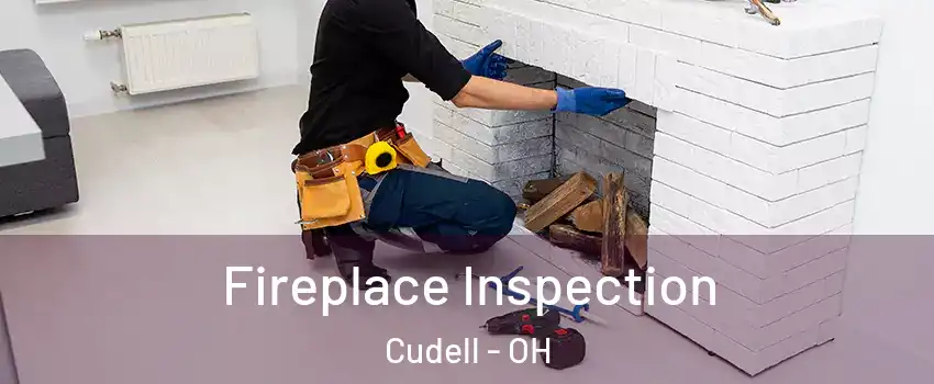 Fireplace Inspection Cudell - OH