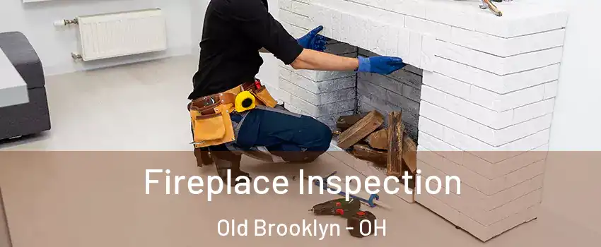 Fireplace Inspection Old Brooklyn - OH
