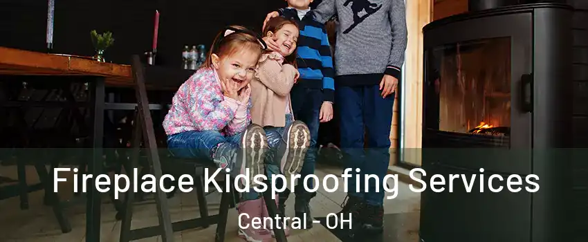 Fireplace Kidsproofing Services Central - OH