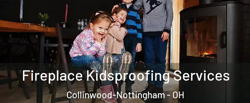 Fireplace Kidsproofing Services Collinwood-Nottingham - OH