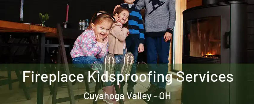 Fireplace Kidsproofing Services Cuyahoga Valley - OH